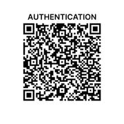 Louis Vuitton - Damier Ebene Olav PM