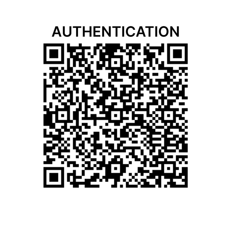 Louis Vuitton - Damier Ebene Olav PM