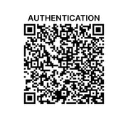 Louis Vuitton - LV Giant Reverse Monogram Onthego MM