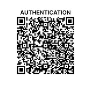 Louis Vuitton - Damier Ebene Ipanema GM