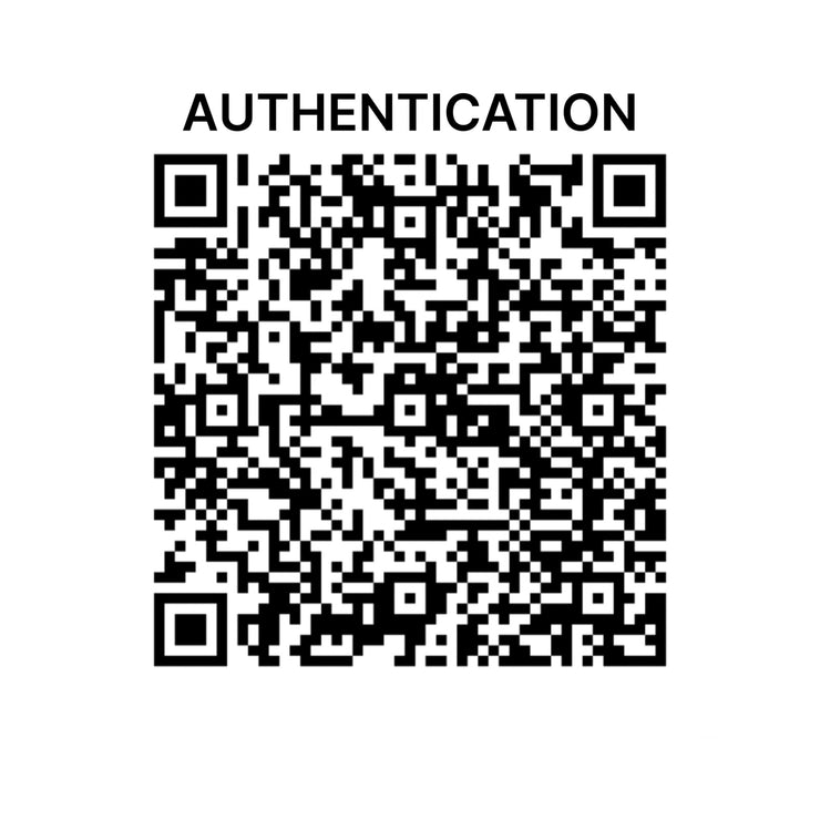 Louis Vuitton - Damier Ebene Ipanema GM